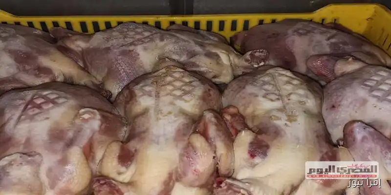 حملات تموينية في كفر الشيخ تكشف عن سلع فاسدة ومجهولة المصدر