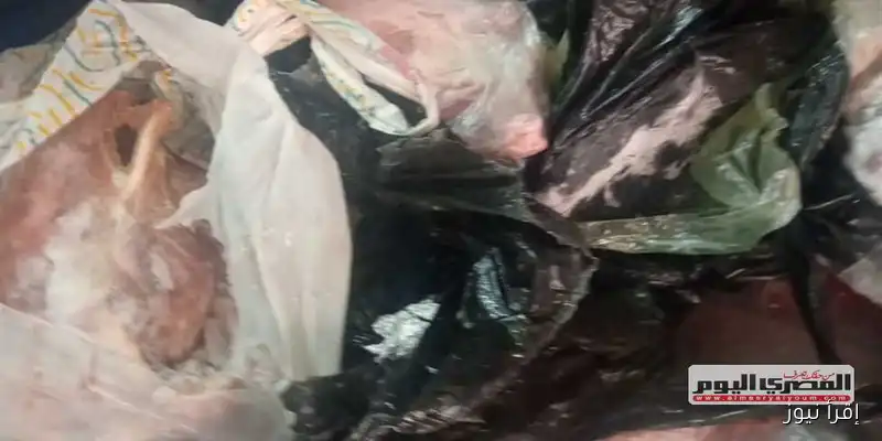 حملة تموينية مكثفة في كفر الشيخ: ضبط مخالفات بالمخابز والأسواق والمحلات العامة