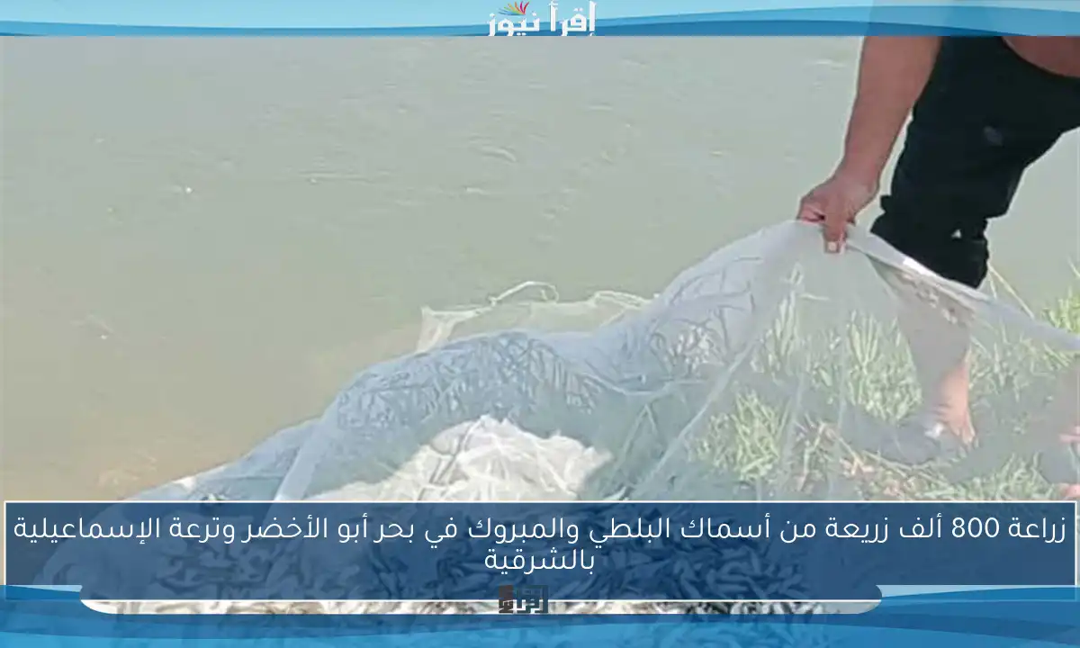 زراعة 800 ألف زريعة من أسماك البلطي والمبروك في بحر أبو الأخضر وترعة الإسماعيلية بالشرقية