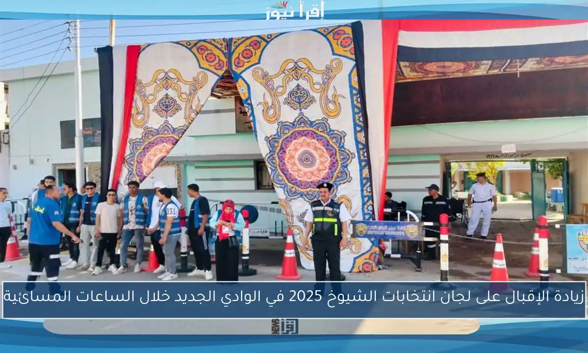 زيادة الإقبال على لجان انتخابات الشيوخ 2025 في الوادي الجديد خلال الساعات المسائية