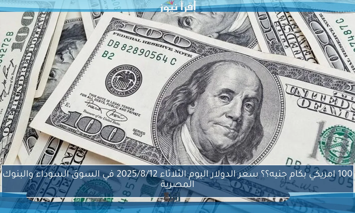 100 امريكي بكام جنيه؟؟ سعر الدولار اليوم الثلاثاء 2025/8/12 في السوق السوداء والبنوك المصرية