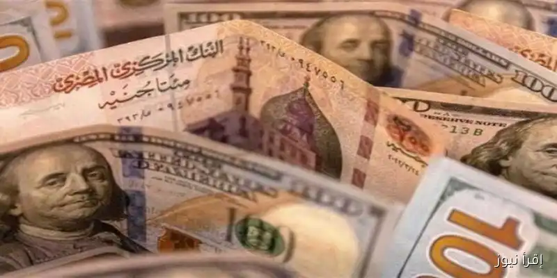 سعر الدولار مقابل الجنيه اليوم: تحديث الجمعة 29 أغسطس 2025