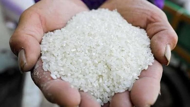 سعر طن الأرز الشعير اليوم الثلاثاء 1 أغسطس 2025 في الأسواق المحلية المصرية