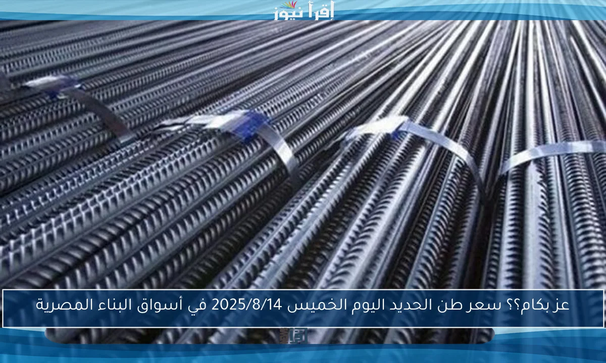 عز بكام؟؟ سعر طن الحديد اليوم الخميس 2025/8/14 في أسواق البناء المصرية