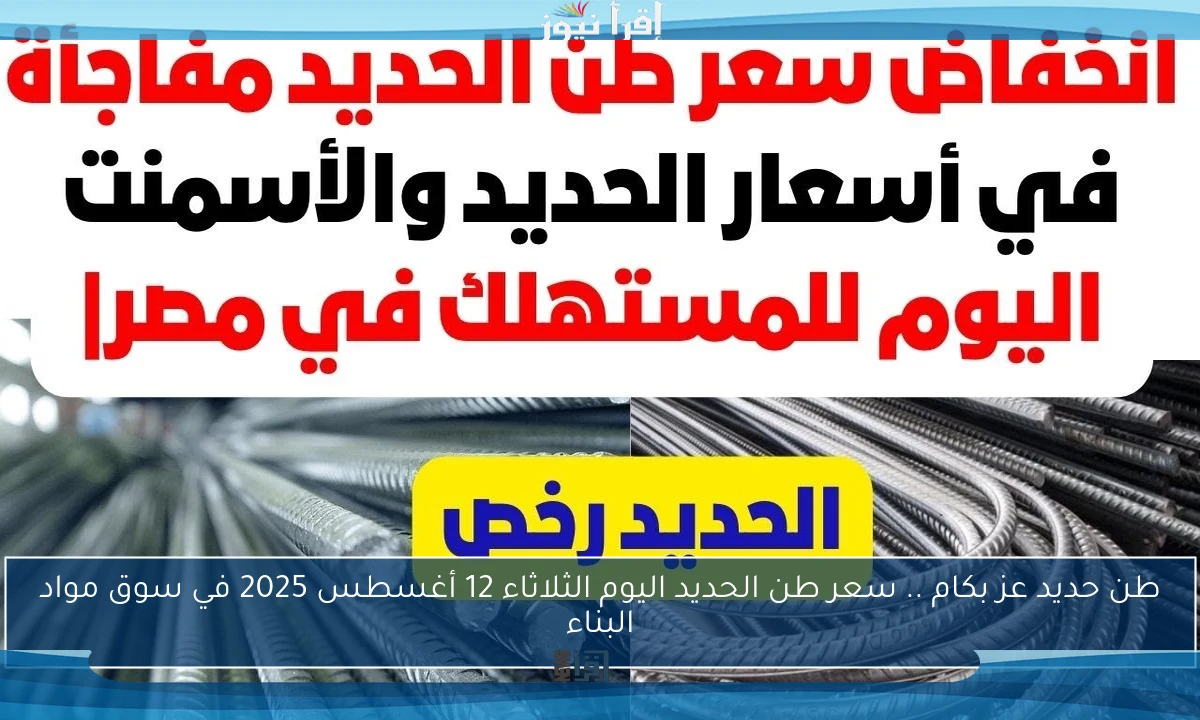 طن حديد عز بكام .. سعر طن الحديد اليوم الثلاثاء 12 أغسطس 2025 في سوق مواد البناء