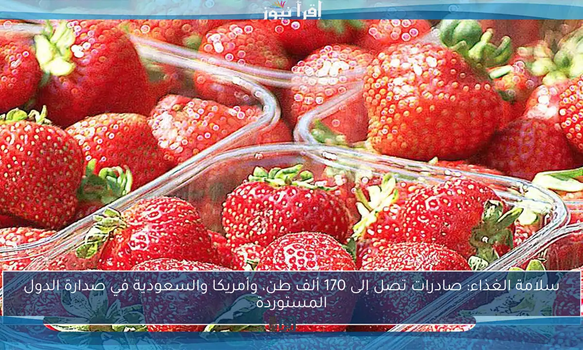 سلامة الغذاء: صادرات تصل إلى 170 ألف طن، وأمريكا والسعودية في صدارة الدول المستوردة