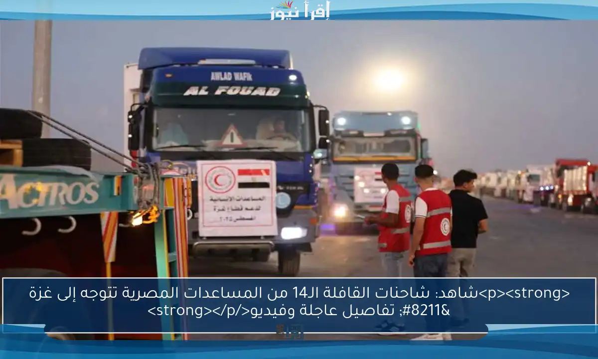 <p><strong>شاهد: شاحنات القافلة الـ14 من المساعدات المصرية تتوجه إلى غزة – تفاصيل عاجلة وفيديو</strong></p>
