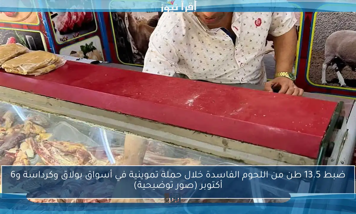 ضبط 13.5 طن من اللحوم الفاسدة خلال حملة تموينية في أسواق بولاق وكرداسة و6 أكتوبر (صور توضيحية)