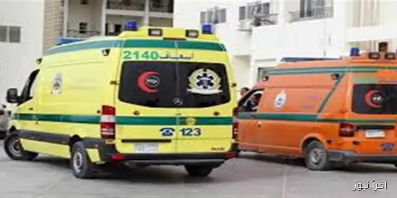مصرع وإصابة 12 شخصًا في حادثين منفصلين بالوادي الجديد: تفاصيل الحوادث وأسبابها