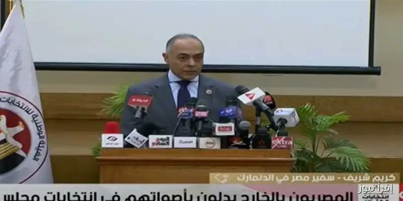 نجاح العملية الانتخابية بالخارج: لا معوقات خلال جولة الإعادة لانتخابات الشيوخ