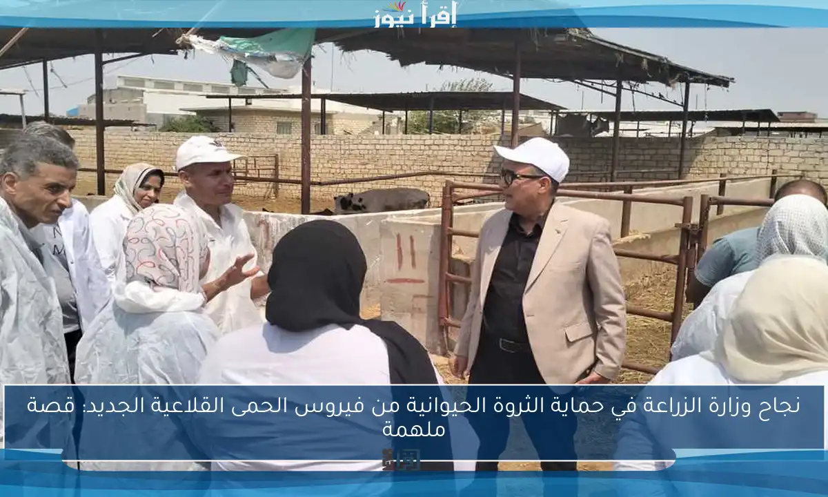 نجاح وزارة الزراعة في حماية الثروة الحيوانية من فيروس الحمى القلاعية الجديد: قصة ملهمة