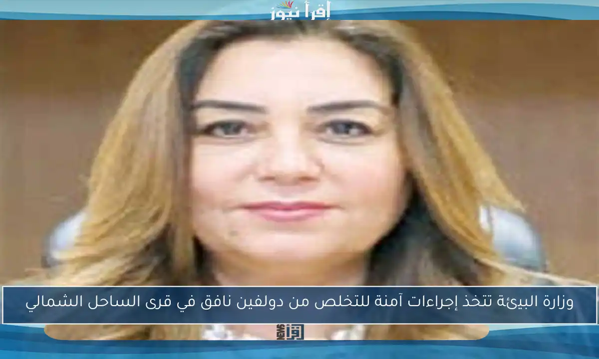 وزارة البيئة تتخذ إجراءات آمنة للتخلص من دولفين نافق في قرى الساحل الشمالي