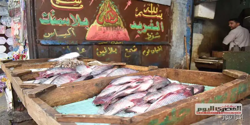 أسعار الأسماك والمأكولات البحرية في سوق العبور اليوم الثلاثاء: البوري بـ220 جنيهًا!