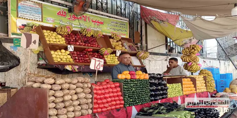 أسعار الخضار في مطروح اليوم: البصل بـ 15 جنيهًا – تحديث الثلاثاء 23 سبتمبر 2025