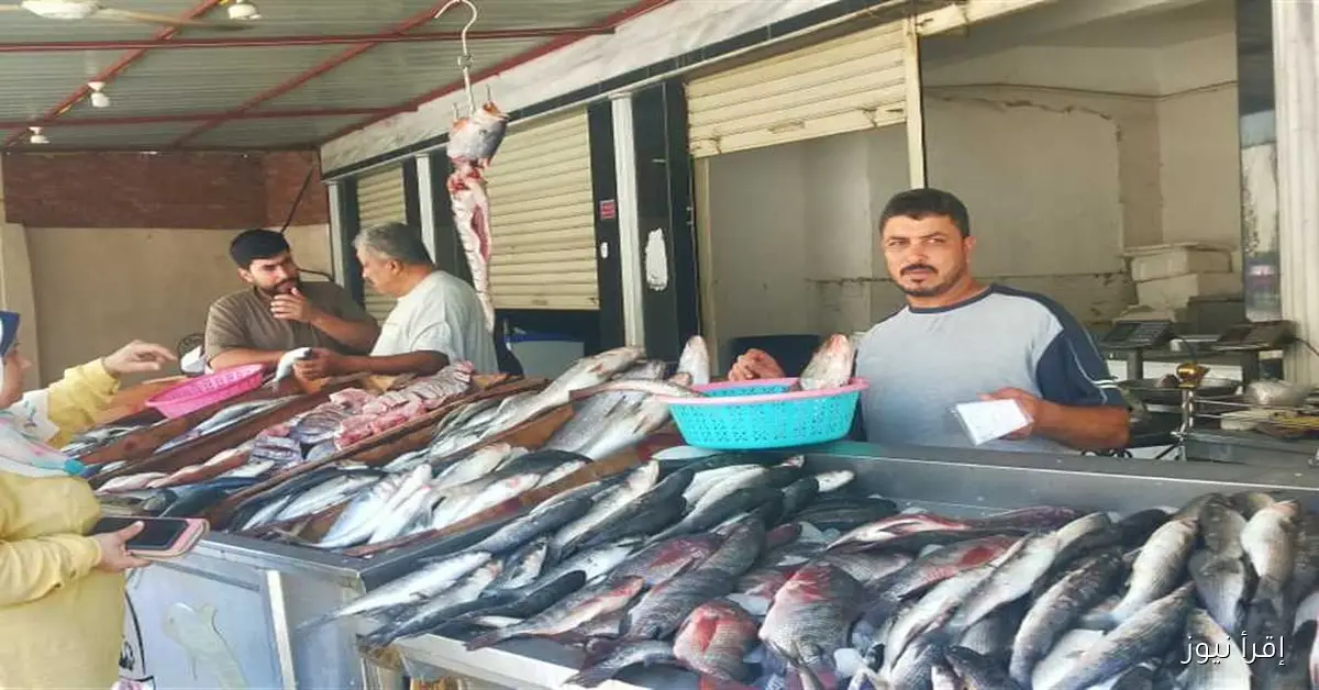 أسعار السمك البلطي والسردين والجمبري اليوم الجمعة 26 سبتمبر 2025: تحديثات السوق وأفضل العروض!