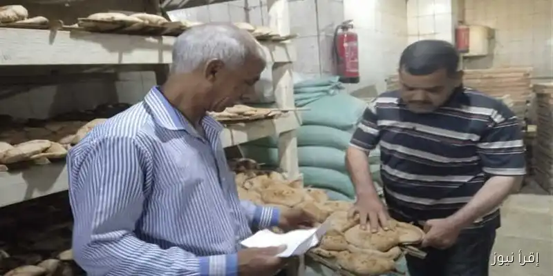أسيوط: ضبط 272 مخالفة خلال الحملات التموينية لتعزيز الأمان الغذائي