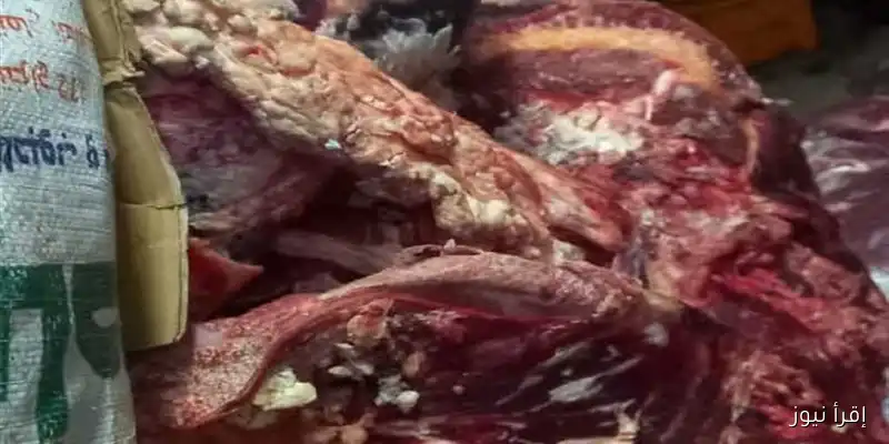 أسيوط: ضبط 3 أطنان من اللحوم والمنتجات الحيوانية غير الصالحة للاستهلاك