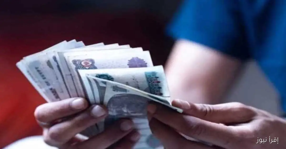 أفضل عوائد شهادات البنك الأهلي بعد خفض الفائدة: اكتشف التفاصيل اليوم!