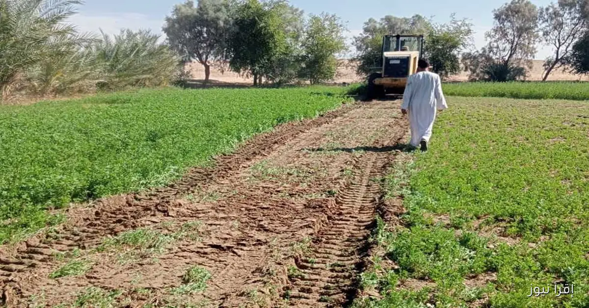 إزالة تعدٍّ على أراضٍ زراعية ورفع 60 طنًا من المخلفات الصلبة في قريتين بالأقصر