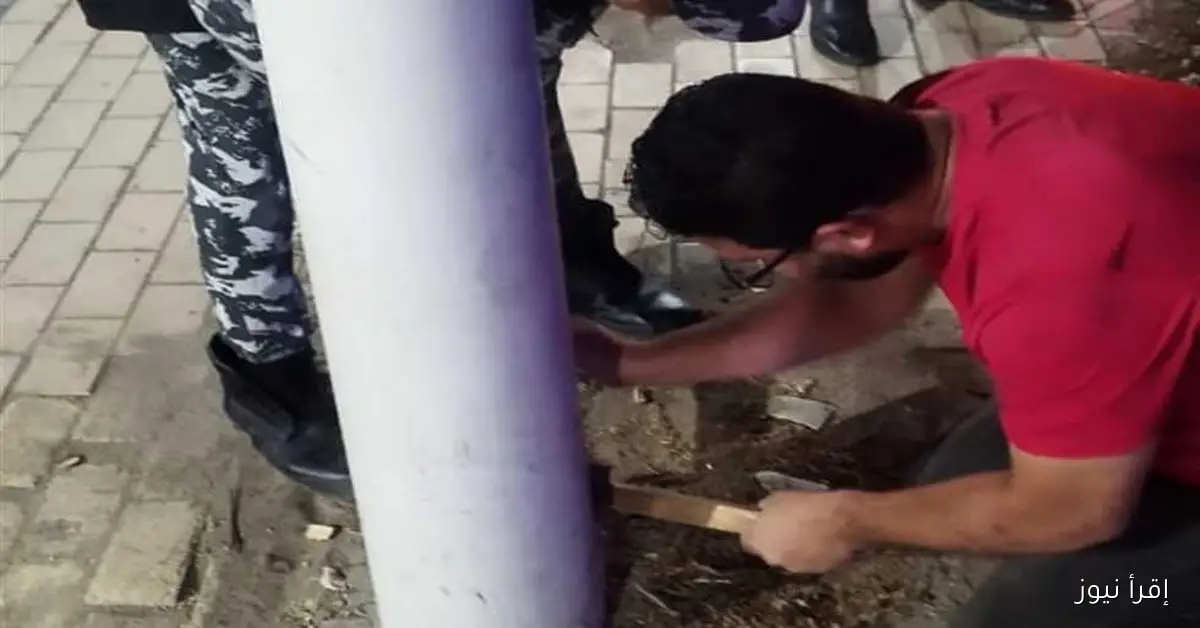 إنقاذ قطة عالقة في عمود إنارة بحي الزهور ببورسعيد: جهود الحماية المدنية تثير الإعجاب