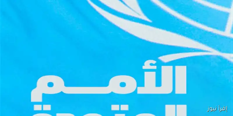 احتفالاً باليوم العالمي للغة الإشارة: اكتشف أبرز 3 مترجمين في التليفزيون المصري