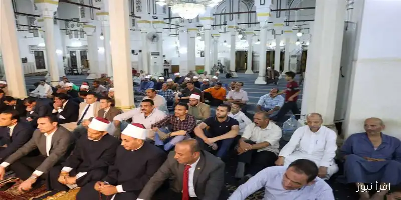 احتفالية مميزة بمناسبة المولد النبوي الشريف 2025 في مسجد صلاح الدين بالمنيا