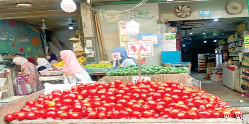ارتفاع أسعار الطماطم: من 18 إلى 30 جنيهًا.. شعبة الخضروات تكشف الأسباب وراء الزيادة