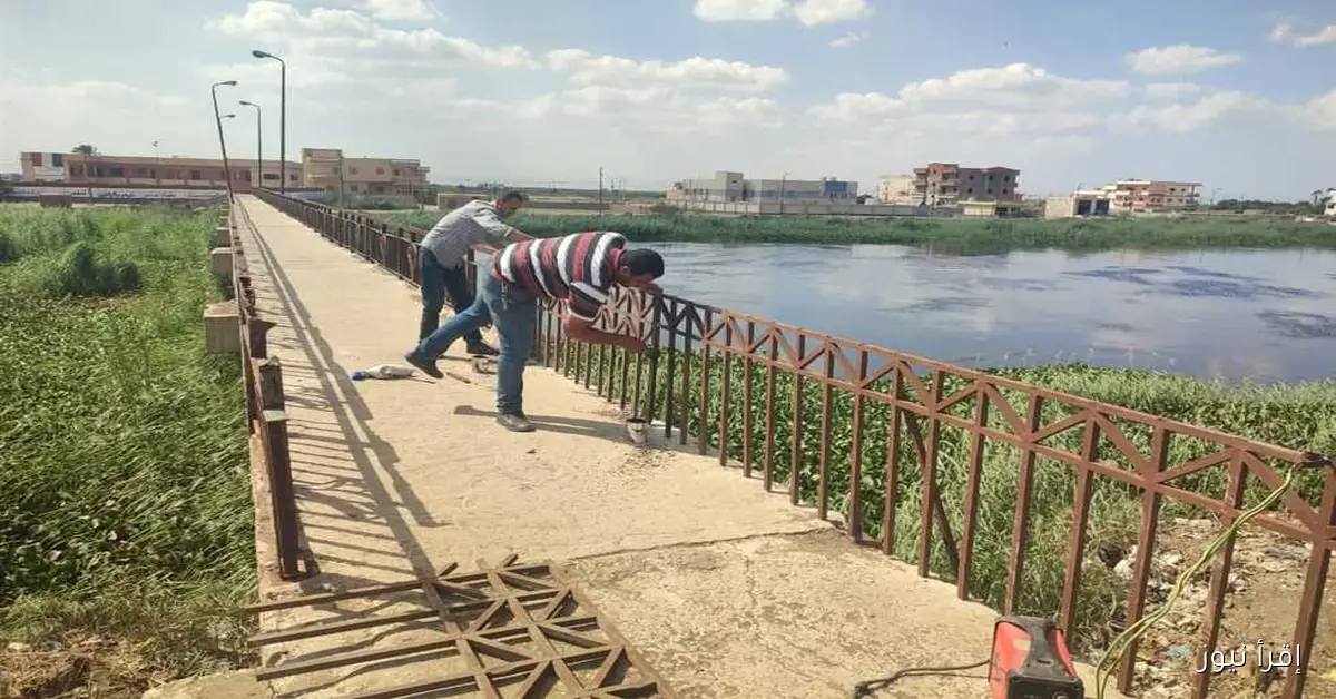 استجابة سريعة لاستغاثة الأهالي: بدء أعمال الصيانة العاجلة لكوبري كربة عايد – العوامرة في بورسعيد