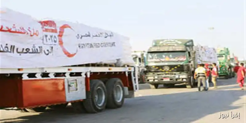 الهلال الأحمر المصري يرسل 2500 طن من المساعدات الغذائية والإغاثية إلى غزة