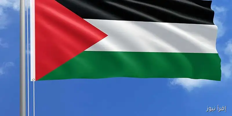 بعد بريطانيا وأستراليا وكندا: 7 دول جديدة تستعد للاعتراف بدولة فلسطين – اكتشفها الآن!