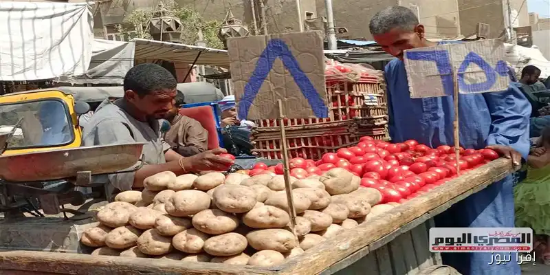 تحديث أسعار البصل والطماطم والخضروات في الأسواق اليوم: الأربعاء 3 سبتمبر 2025