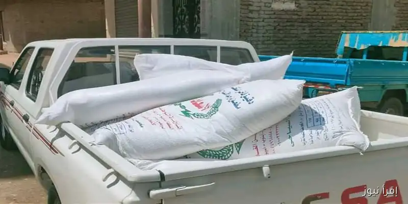 حملة موسعة في إسنا: ضبط 15 مخالفة تموينية متنوعة في جنوب الأقصر