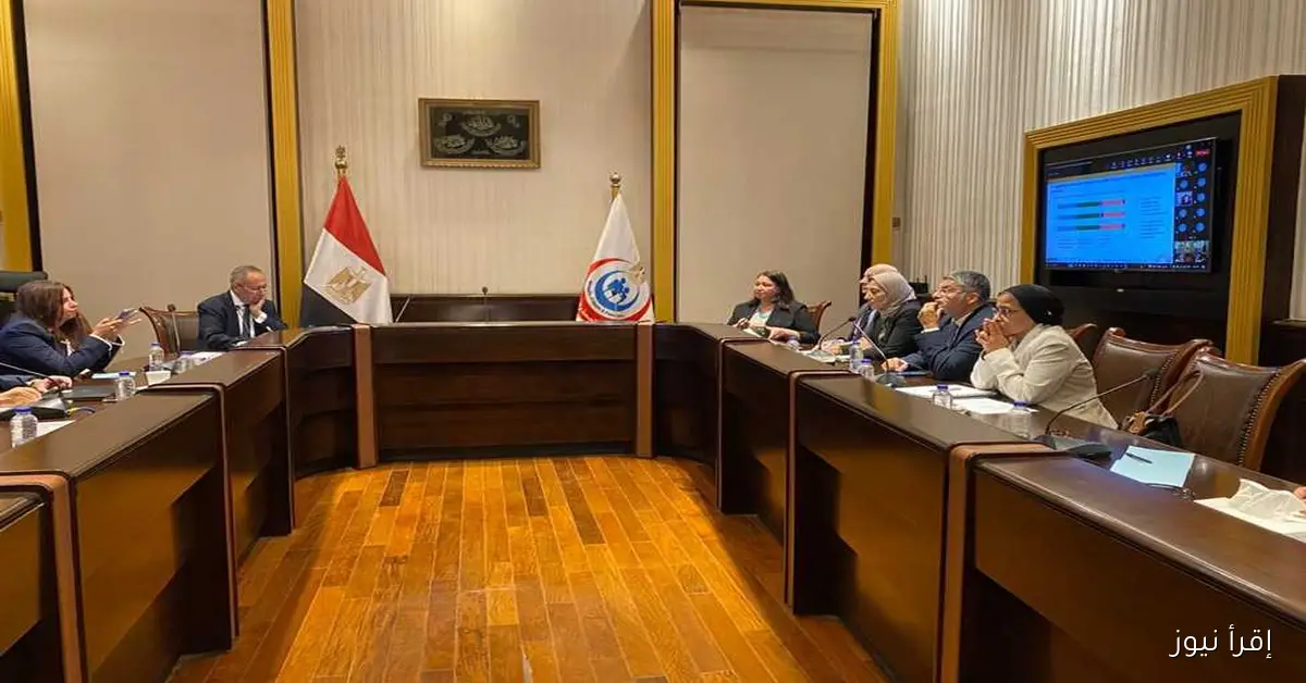 شراكة مثمرة بين الاستشارية للتنمية البشرية ومعلومات مجلس الوزراء: إعداد أوراق سياسات تعزز التنمية في مصر