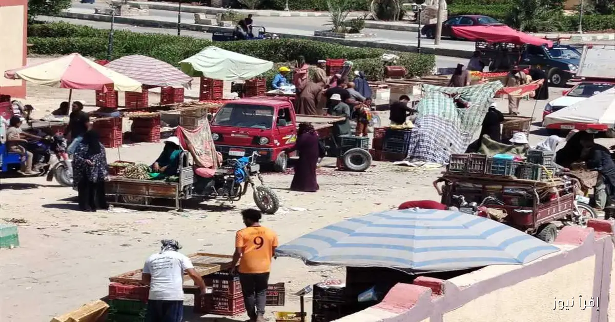 شكاوى أهالي الفرافرة: نقل سوق اليوم الواحد يثير الإزعاج ويؤثر على الباعة (صور)