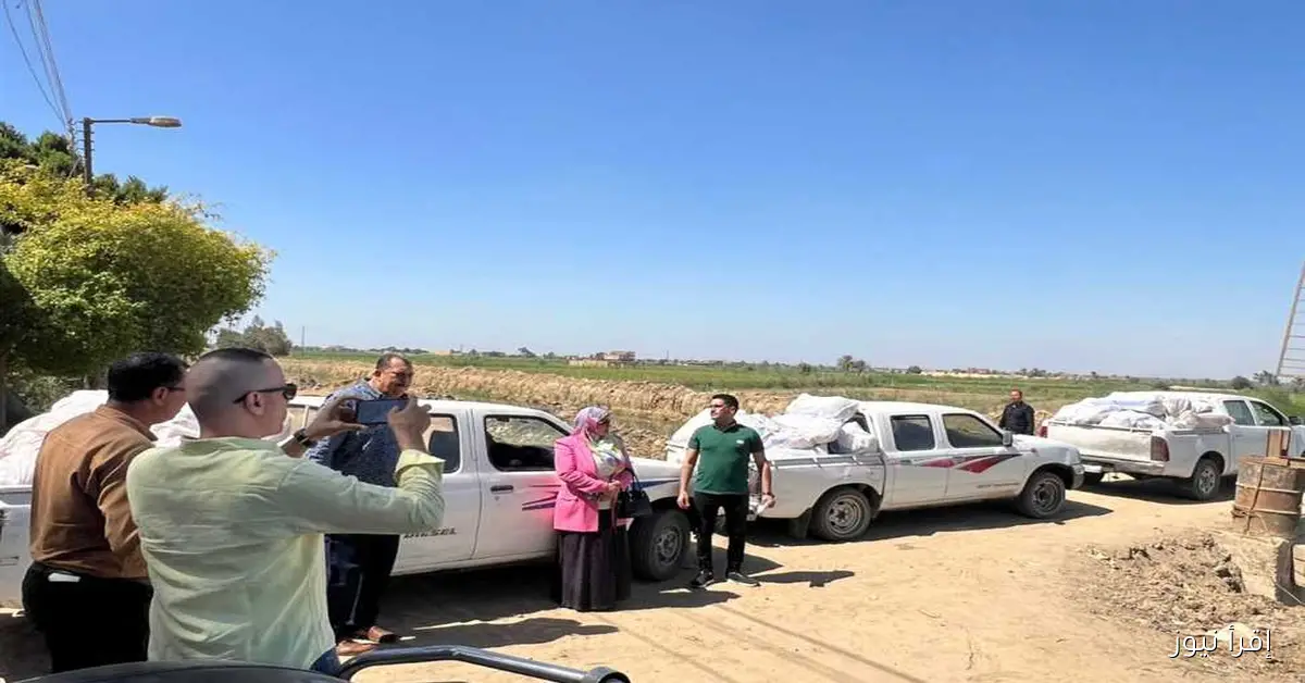 ضبط 2.1 طن من الدواجن الفاسدة في الفيوم: 45 محضرًا في حملات تموينية لمكافحة الغش