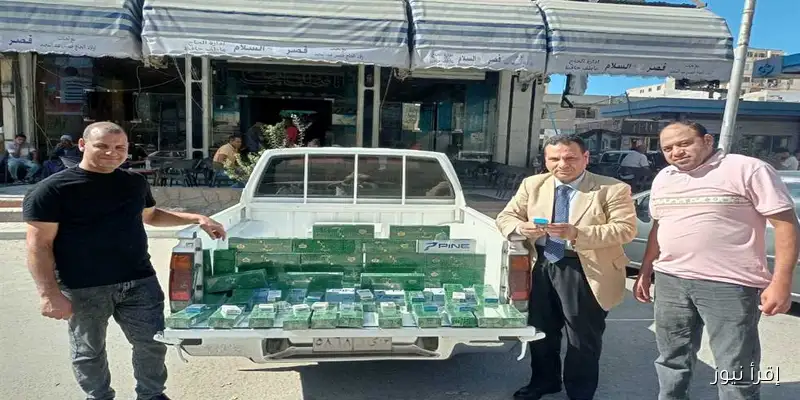 ضبط 650 علبة سجائر مهربة في حملة تموينية بالإسكندرية: جهود لمكافحة التهرب الضريبي والجمركي