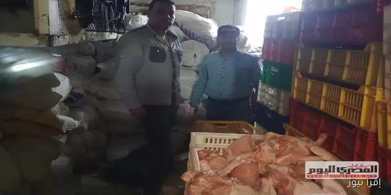 ضبط أكثر من طن من الدواجن المذبوحة خارج المجازر الحكومية في بيلا بكفر الشيخ: حماية لصحة المواطنين