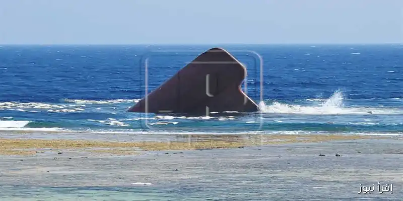 ظهور حطام سفينة غارقة في البحر الأحمر: البيئة تتابع تأثير أجولة الردة على الشاطئ منذ 10 أشهر