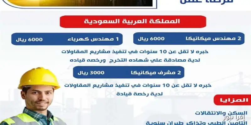 فرص عمل جديدة للشباب: وزارة العمل تكشف عن تفاصيل النشرة القومية للتوظيف