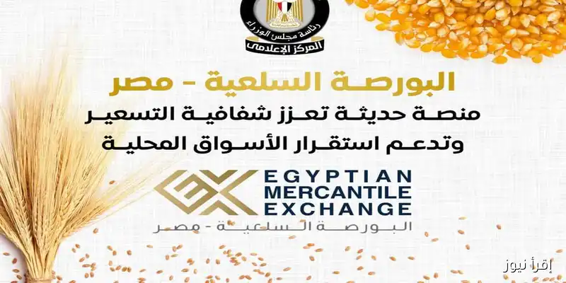 مجلس الوزراء: 21.5 مليار جنيه إجمالي التداولات في البورصة السلعية حتى نهاية يوليو 2025