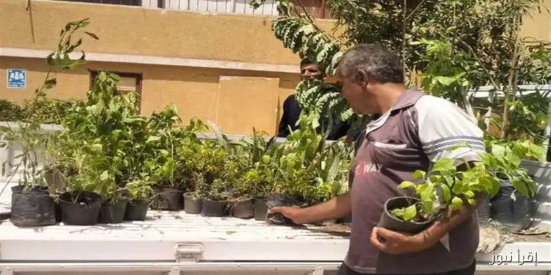 محافظ أسوان يطلق حملة لتعزيز زراعة أشجار الظل ونباتات الزينة لتحسين البيئة