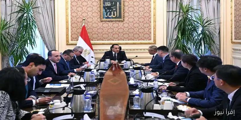 مدبولي يناقش مع رئيس شركة «إيليت سولار» الصينية فرص توطين صناعة مكونات الطاقة الشمسية في مصر
