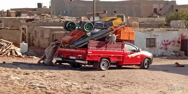 مدينة رأس غارب تستكمل ترحيل عربات الكارو إلى قنا بعد قرار حظر سيرها في الشوارع