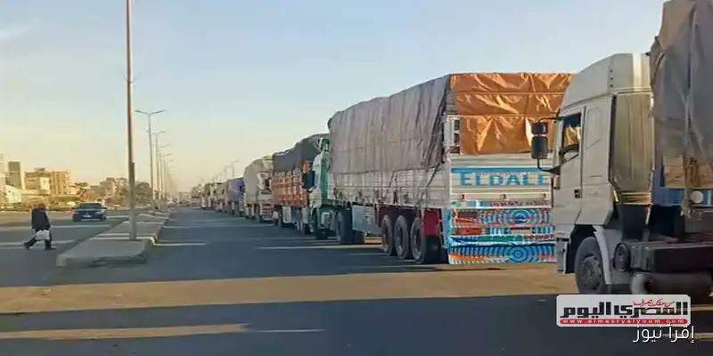 مطالب متزايدة لإنشاء ميناء جاف في سفاجا: الحل الأمثل لتخفيف تكدس الشاحنات وتسريع الإجراءات الجمركية وتعزيز التجارة مع السودان