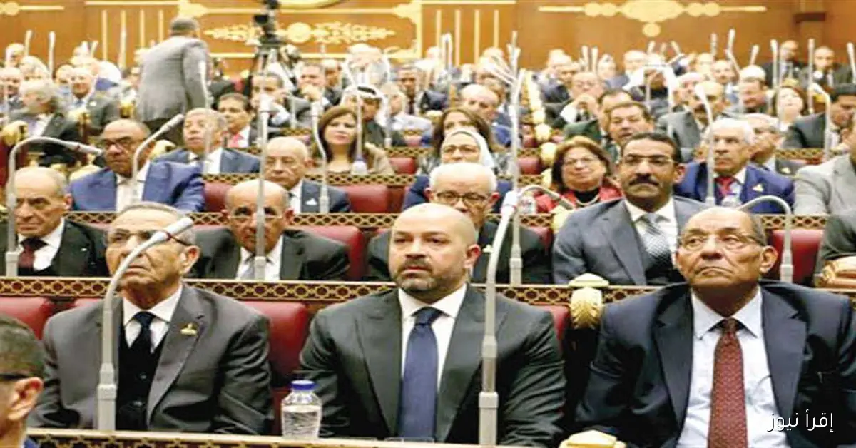 نائب بمجلس الشيوخ يدعو إلى خطة فورية لإنقاذ المصانع المهددة بالتعثر في ظل الأوضاع الاقتصادية الراهنة