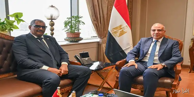 وزير الري المصري يناقش مع نظيره السوداني تطورات السد الإثيوبي ويؤكد على الالتزام بالقانون الدولي للمياه
